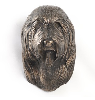 Bearded Collie głowa wisząca Art-Dog