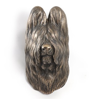 Owczarek francuski Briard głowa wisząca Art-Dog