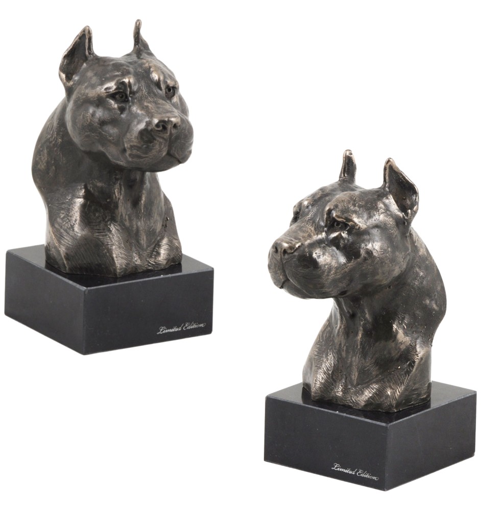 Amerykański Staffordshire terrier głowa na kamieniu Art-Dog