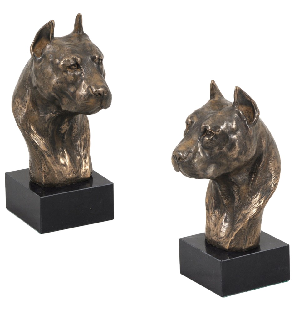 Amerykański Staffordshire terrier głowa na kamieniu Art-Dog