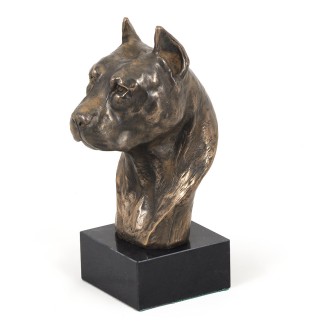 Amerykański Staffordshire terrier głowa na kamieniu Art-Dog