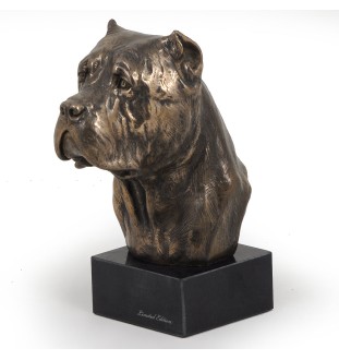 Cane Corso głowa na kamieniu Art-Dog