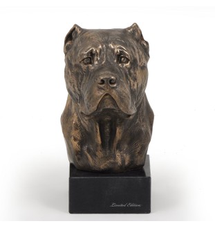 Cane Corso głowa na kamieniu Art-Dog