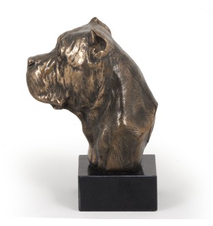 Cane Corso głowa na kamieniu Art-Dog