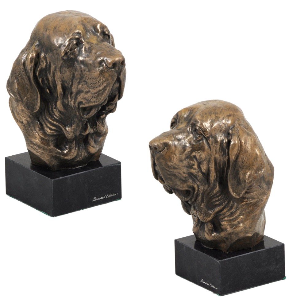 Fila Brasileiro głowa na kamieniu Art-Dog