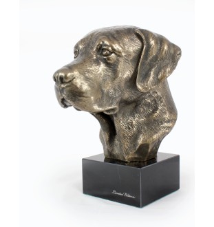 Labrador Retriever głowa na kamieniu Art-Dog