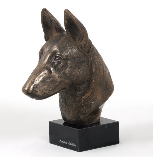 Malinois Owczarek belgijski głowa na kamieniu Art-Dog