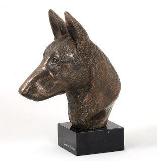 Malinois Owczarek belgijski głowa na kamieniu Art-Dog